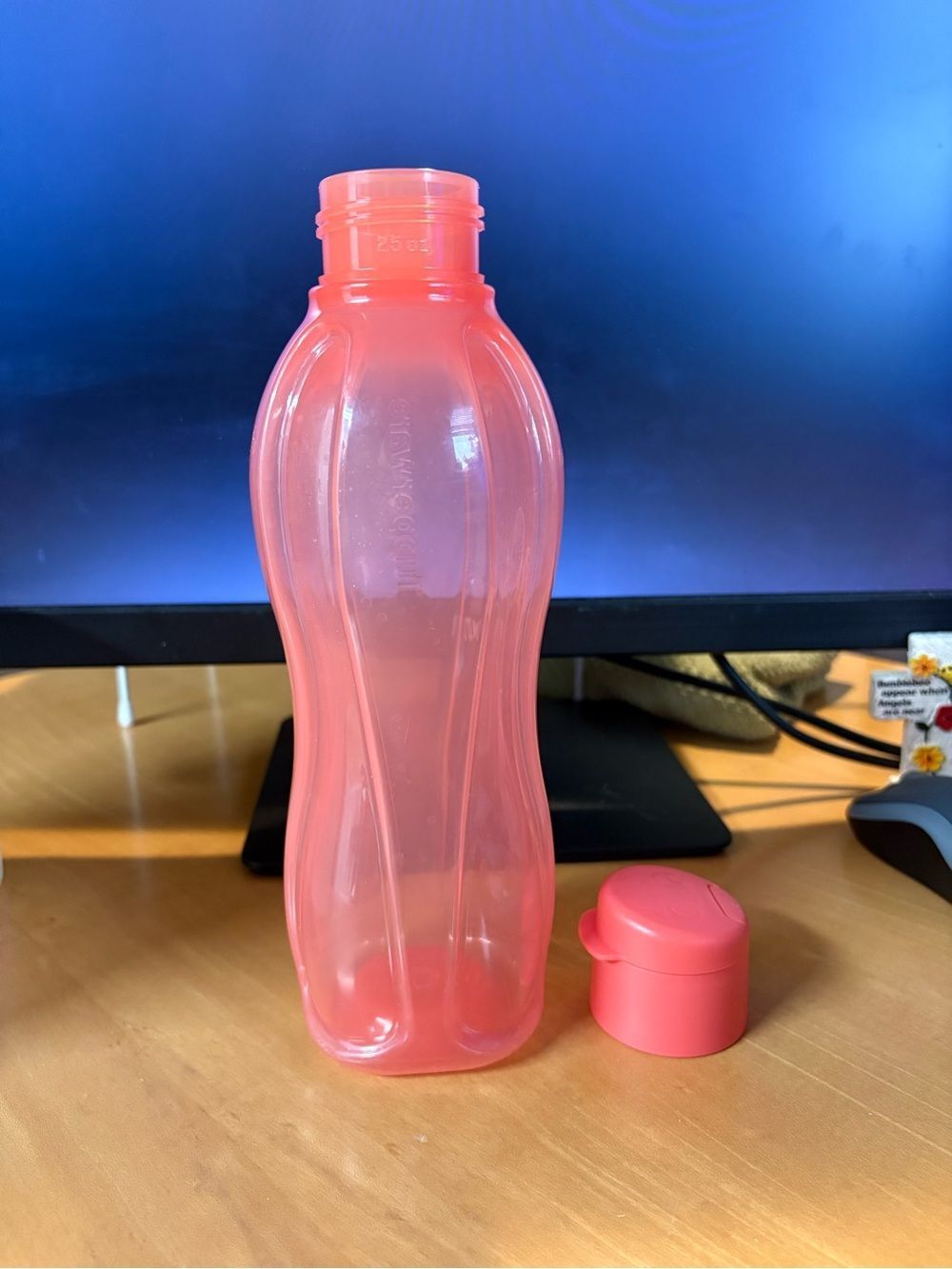 NWT Tupperware ECO 25oz Water Bottle in Orange